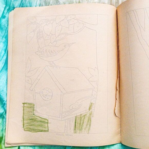 Vintage Birds Paint By Number Art Activity Book Whitman 1961 - Picture 4 of 4